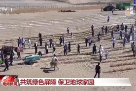 科技赋能治沙新篇章 中国绿浪席卷沙海！图片