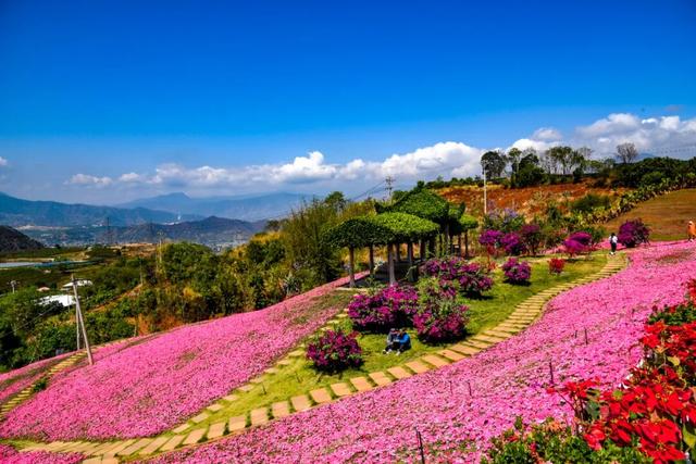 这些地方，把“吃”写成了姓名