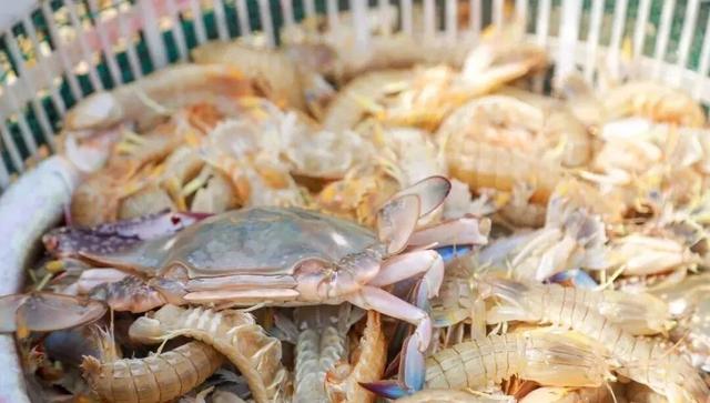 开海季的快乐！210元、1h起，来日照享受鲜味暴击！