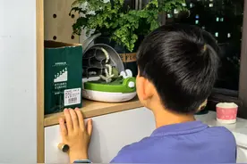 小学生家长“全城找桑叶”，多个桑园称可免费采摘：建议分散摘，避免把一棵树“薅秃”图片