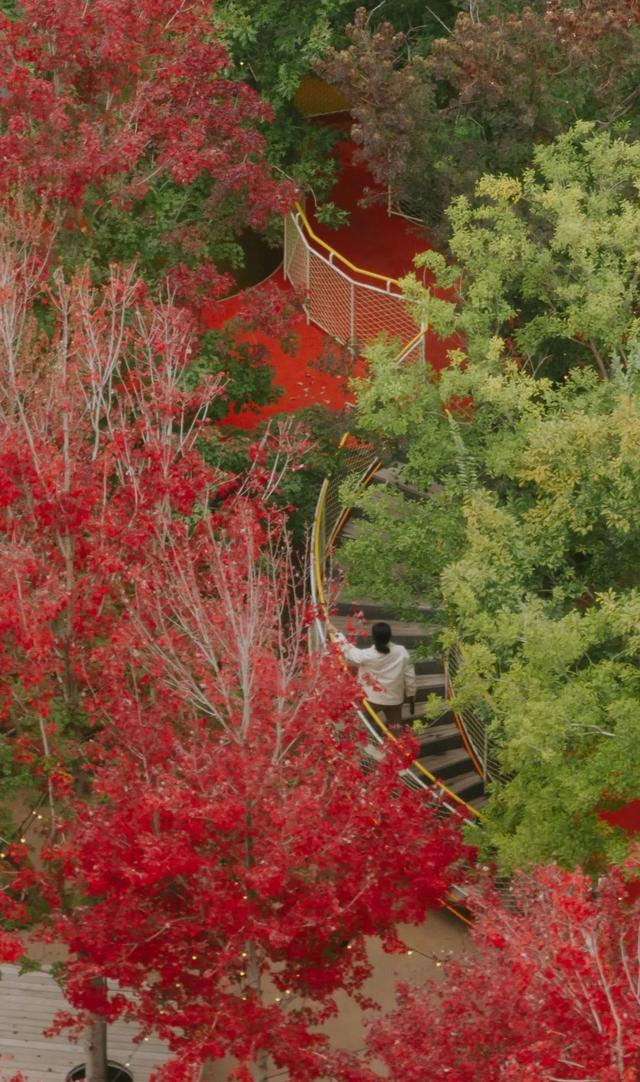 接下来的日照，是这样的！