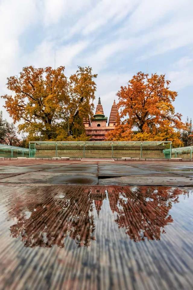 万里无云，阳光正好！周末到公园欣赏北京的秋