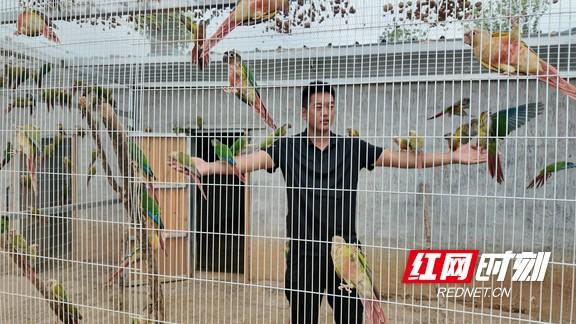 文旅项目精彩亮相，点亮“洞庭水乡 自在沅江”新体验