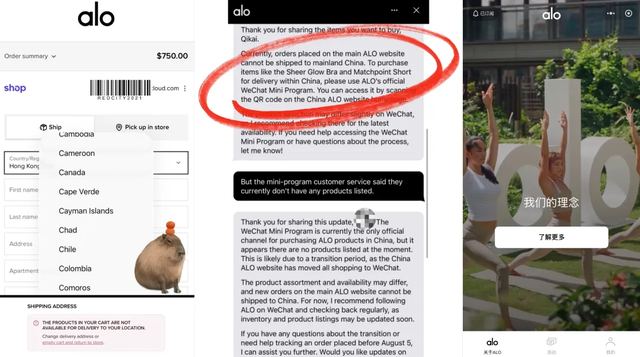 Alo入华冲刺：官旗下周上线天猫，已经有人穿着Lululemon参加Alo社群活动