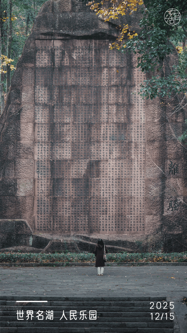 东湖「巨物」图鉴，打卡XXXXL号视觉震撼！