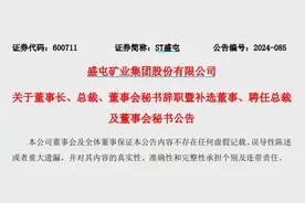 人事变动丨盛屯矿业高层“大换血” ！图片