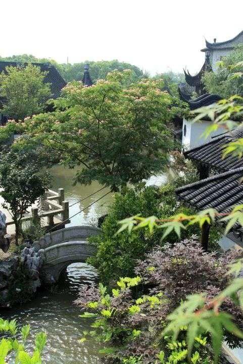 都市天际线下的葡萄藤 是上海马陆镇的混搭美学