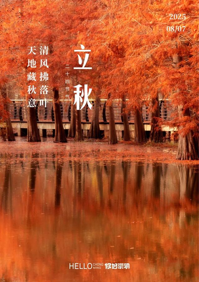 新城公园的音乐喷泉要重启啦！