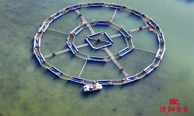 太美了！11月的沈阳，是这样的……