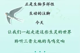 这样的音乐会你听过吗？图片