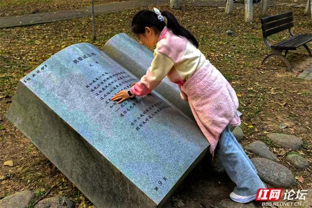 在株洲的钢琴广场，遇见一个被阳光烘焙的周末