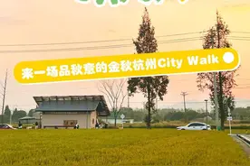 秋意渐浓：金秋City Walk线路，带你领略别样杭州图片