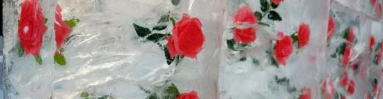 重磅！长春净月两景区获“国家级”荣誉！