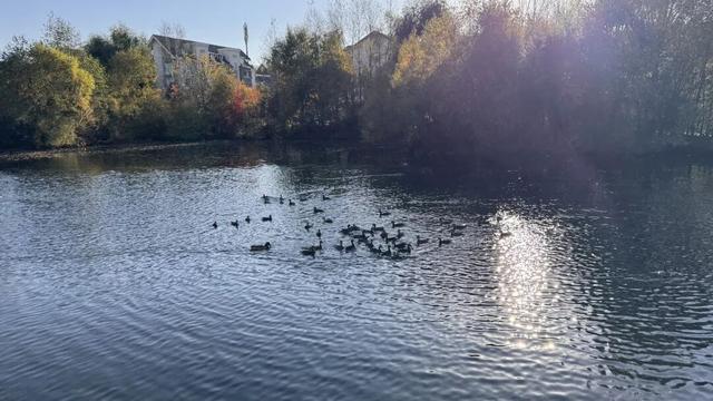 假期闲记（二）