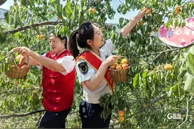 爱心助农、“完璧归赵”……青岛这群好心人传递城市文明热度图片