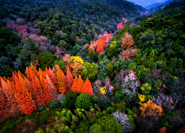 AI说：将乐的秋色应该是这样的～| 青山绿水是无价之宝