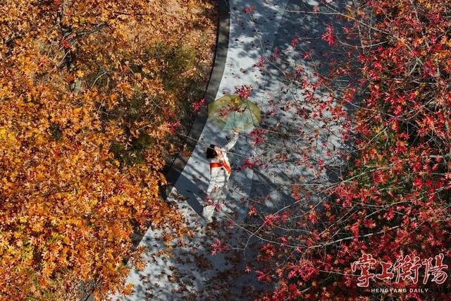 冬日衡阳，超浪漫！