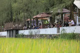 新时代中国调研行之看区域·大湾区篇丨一条“通道”改变一座村图片