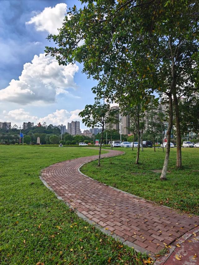 藏在防城港的“城市绿肺”！这个湿地公园，已成市民周末休闲顶流