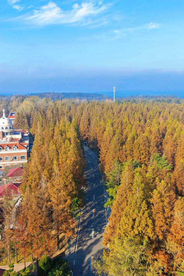 日照人的嘴是真严啊！这里都美成啥了！