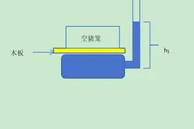 连续八年用不同科学原理给“二师兄”称重！杭州学子今年再次大开脑洞图片