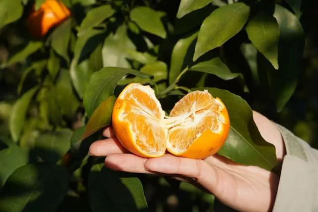 贤鲁跑名额增加！环岛吃喝玩乐购全攻略→