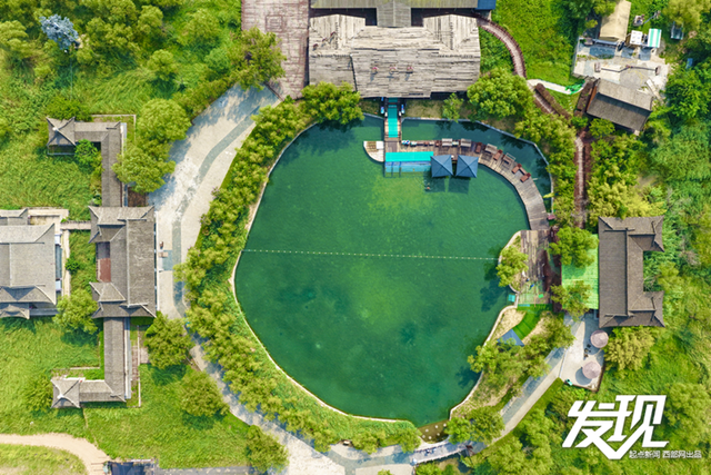 发现丨洽川湿地：绿水盈盈 芦苇丛丛