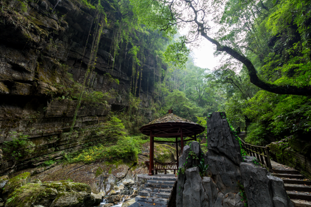 一张“湘超”门票 解锁常德N种玩法