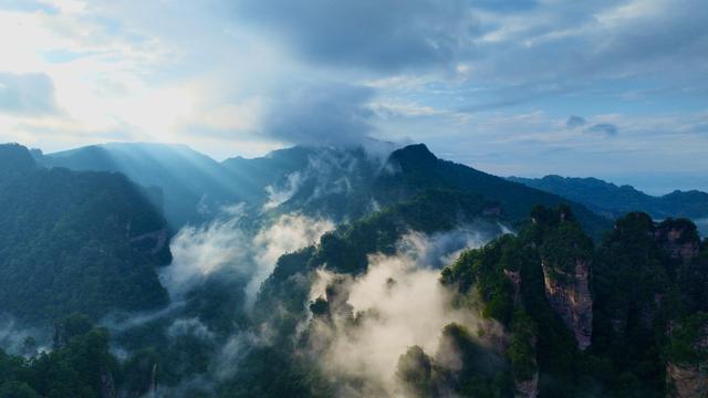 张家界黄石寨云海：悬浮于天地间的水墨仙境