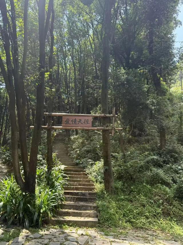 怎么不早说！表白天花板，都在白云！（文末福利）