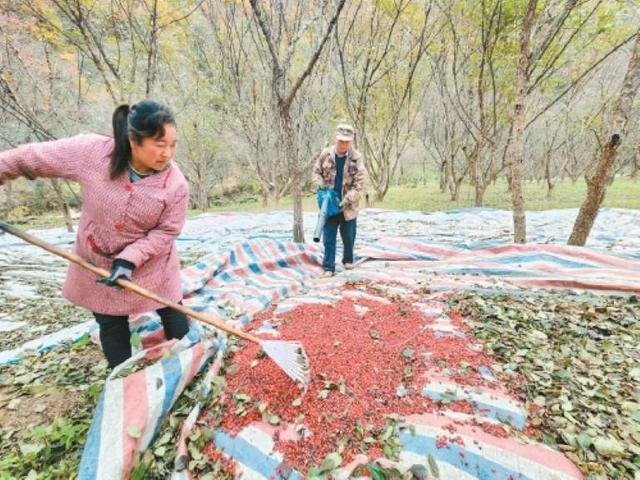 探寻周至厚畛子镇——秦岭腹地的“世外桃源”