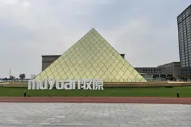 商业头条No.7｜猪王失速图片