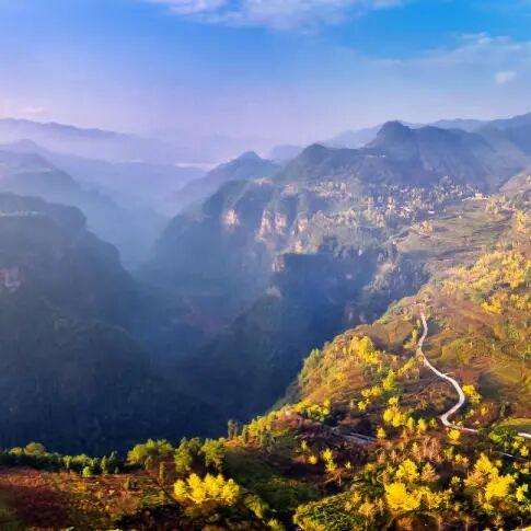 千年银杏韵，金黄满地诗，金色海洋游玩攻略来了！