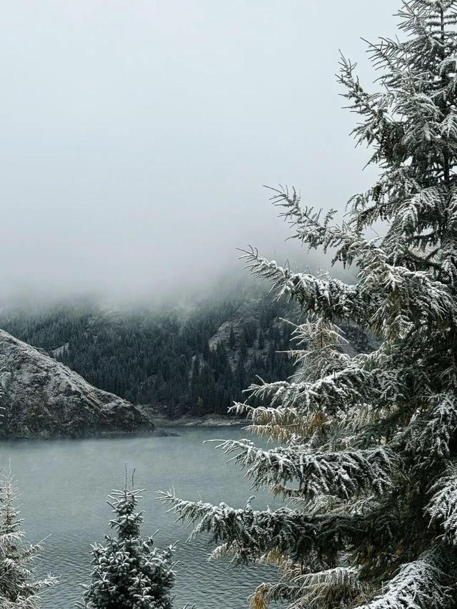 天山柔雪落，静听一池秋