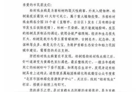 北京市园林绿化局：发现身边松树有这种特征请报告图片