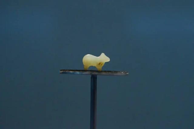 这座焕新开放的国家一级博物馆，青铜器多到叹为观止，能待一整天！