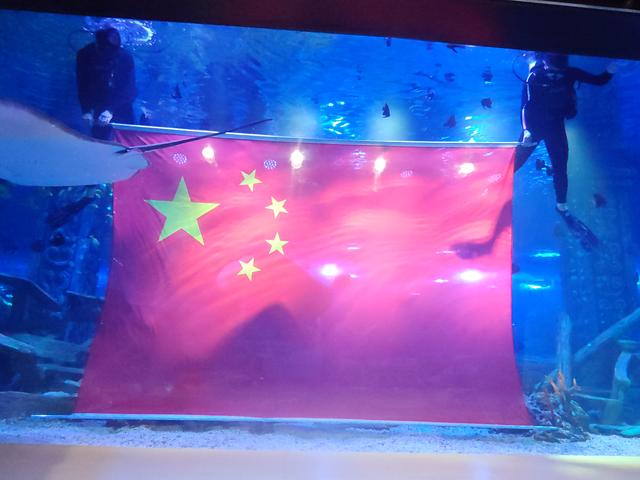 海底升国旗，水下庆团圆！深圳恒远海立方推出双节特别活动