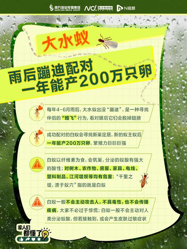 头皮发麻！不少广东人家里突现大量飞虫，紧急提醒
