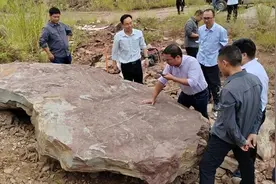 人类，你挖人家恐龙骨头做什么图片