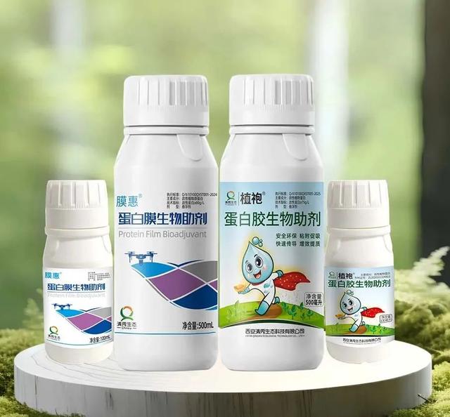 陕西省科学技术奖一等奖