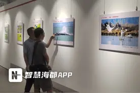 记录自然之美，展现生态魅力……泉州这一摄影展值得去看！图片