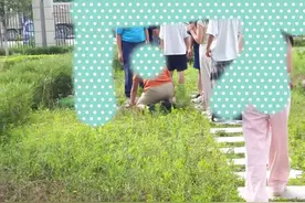 大学生坠入化粪池身亡 谁该为校园安全隐患买单？图片