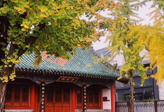 抓住秋天的尾巴！郑州秋日美景观赏地推荐！