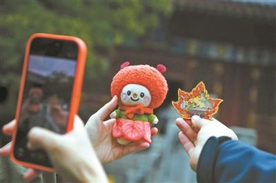 如画北京 如诗秋天