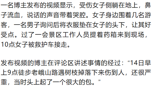 游客在老峨山游玩时被掉落的枯树枝砸中致鼻梁骨受伤，景区回应