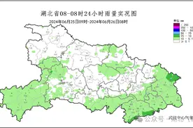 梅雨期第二轮强降雨来袭！27日起湖北有大范围暴雨大暴雨图片