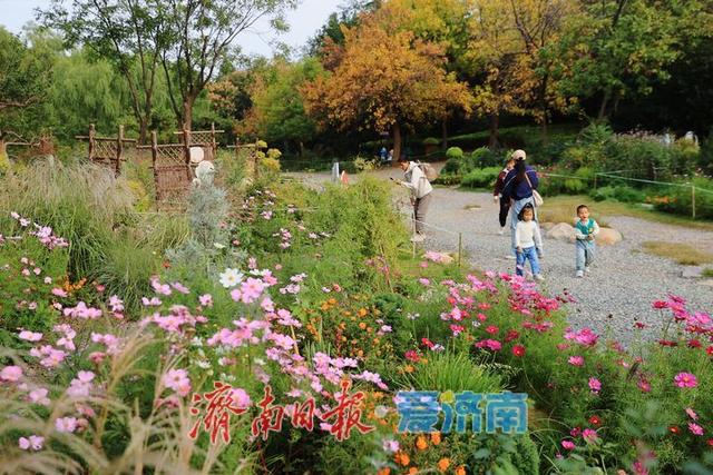 一年四季 泉在济南丨森林公园秋日美景引游客打卡拍照