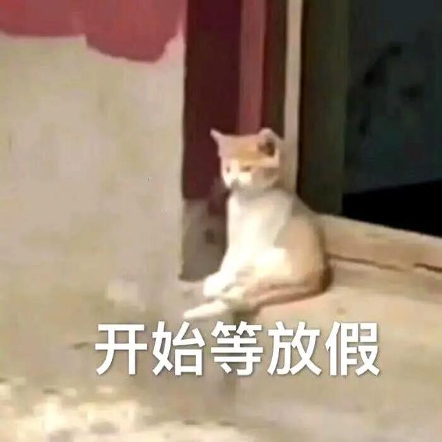 超前剧透！国风+国际范儿，“十一”来青白江，耍安逸→