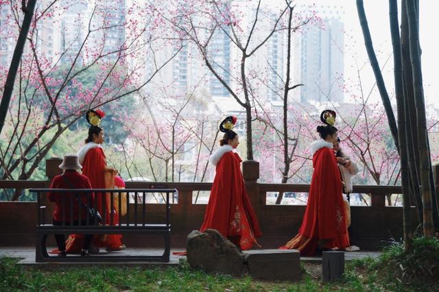 赏梅、逛集市、观看汉服巡游……望江楼公园文旅活动持续点燃春日赏花经济