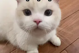 零门槛，100%有书读！厦门积分入学新政是这样！还有……图片